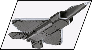 Lockheed F-22 Raptor COBI-5855