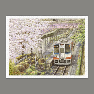 1200 pieces - Tadashi Matsumoto - Sakura in Full Bloom