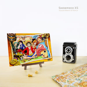 368 XS pieces - One Piece - Crew Pose